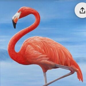 Meet your Posher, SW